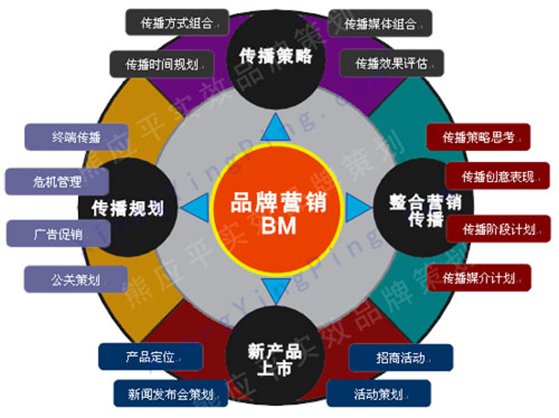 网站建设与管理：未来职场的热门选择